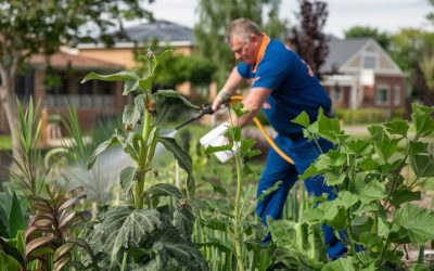 Professional Pest Control Services in Genoa, Nevada 89411