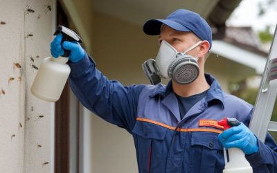 Professional Pest Control Services in Pueblo Valley, Nevada 89404