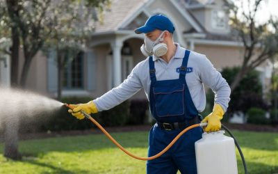 Professional Pest Control Services in Geraldine, Montana 59446